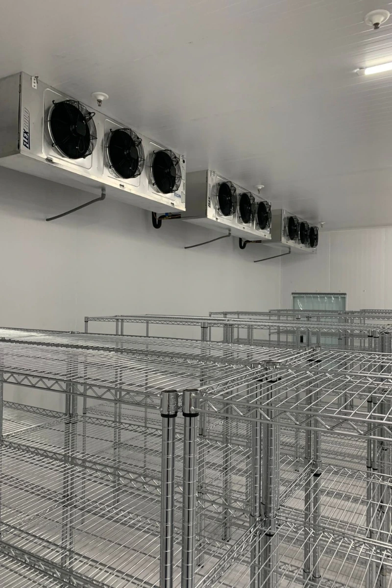 Congelados 1 Equipar