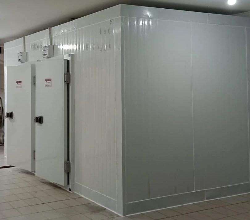 Camara fria conjugada